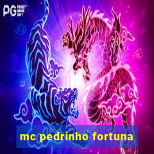 mc pedrinho fortuna